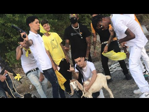 Iced Mob X Phantom Mob - "AMARELO" 💛