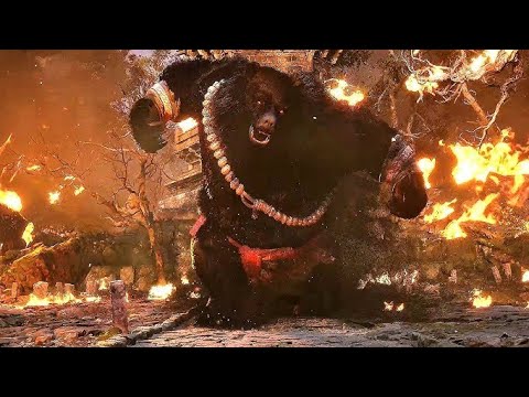 0 DAMAGE BOSS😱  ( Wukong)