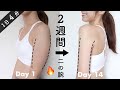 4 MIN Workout | Get Toned Arms in 2 WEEKS!! *No Equipment*