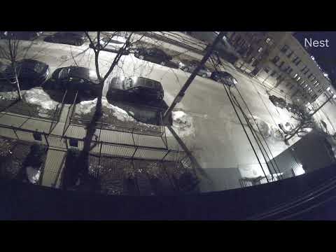 Clip March 1 2022 at 1002 PM