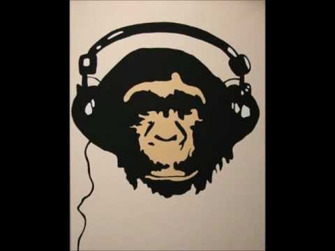 Dj Shouri - You call that Dirty [Electro, House, Dubstep]