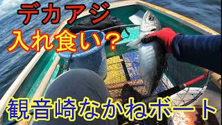 観音崎なかねボート！デカアジ入れ食い？