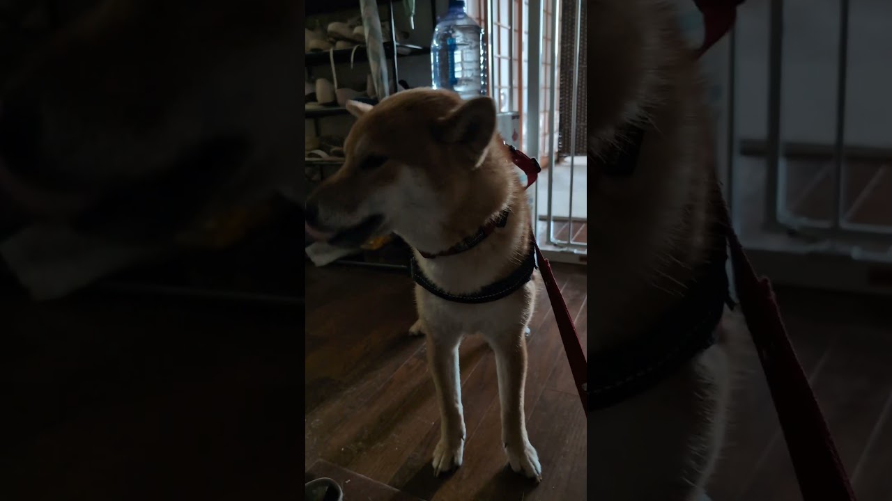 これは病気ですか？