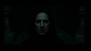 02   Snape to Malfoy Manor Harry Potter and the Deathly Hallows Soundtrack Alexandre Desplat HD