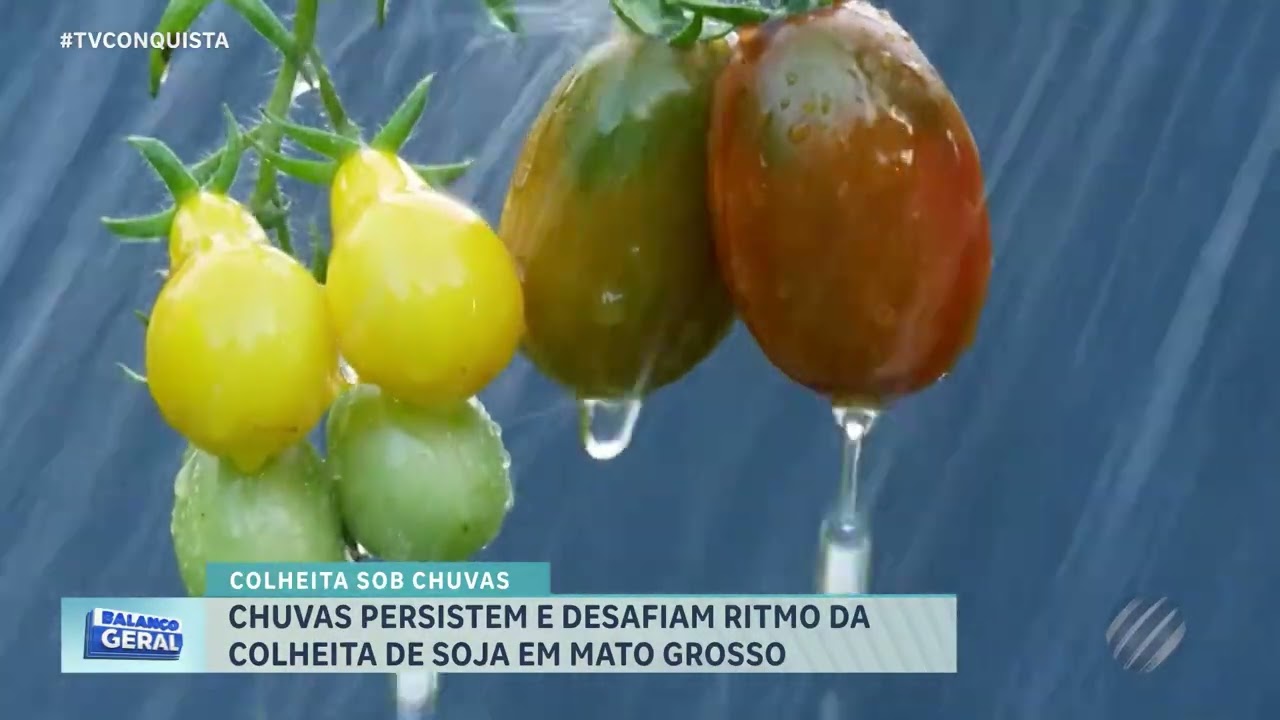 Colheita da soja atinge 70% em MT e produtores aceleram plantio do milho safrinha