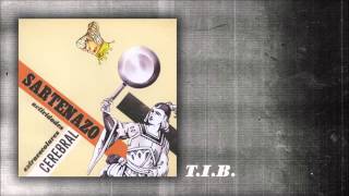 Music video thumbnail preview for Sartenazo Cerebral - T.I.B. (Con Miguel Costas) by Sartenazo Cerebral