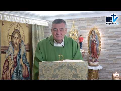 "Mejora tu tierra con la oración para dar fruto" | Homilía, Sábado, XXIV Semana del Tiempo Ordinario (19-09-2026) | P. Santiago Martín, FM
