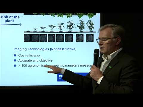 BASF @ K2019: Use of plants as a sensor to asses impact of additives used in plastic greenhouses