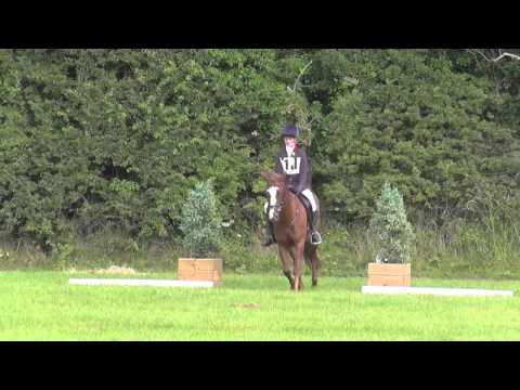 Lillian Sears & Garthfach Partytime - Cheshire Shield ODE