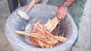 Biosphere, Botanical Dimensions
