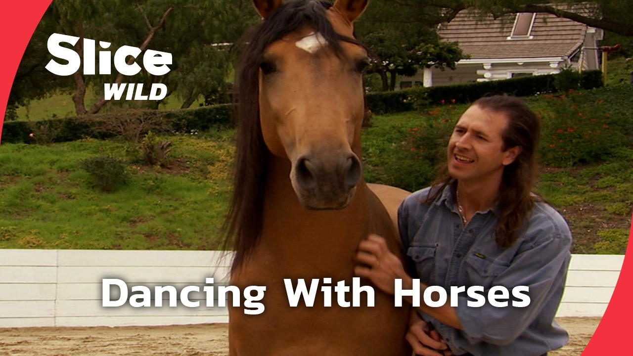 Unleashing Harmony: The Man Who Dances With Horses | SLICE WILD | FULL DOC