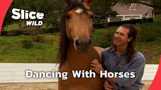 Unleashing Harmony: The Man Who Dances With Horses | SLICE WILD | FULL DOC