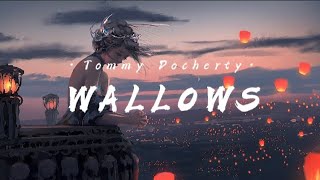 [Lyrics] Tommy Docherty - Wallows