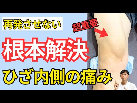 研究者たちは新しいテレビ技術に取り組んでいます。それは OLED と QLED のためのものでしたか?