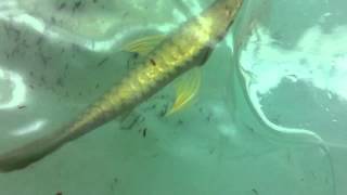 IMG 4689