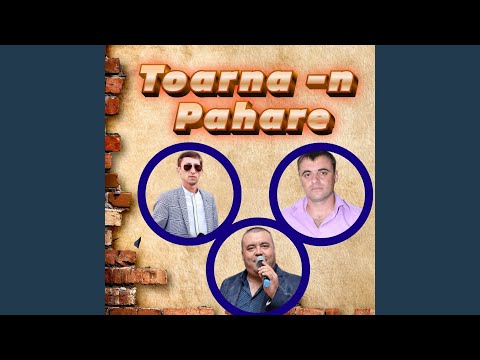 Toarna -n Pahare