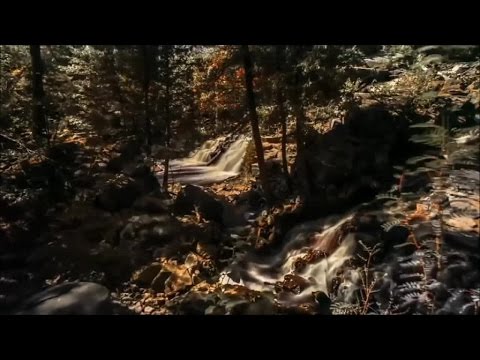 EMANOEL JUNIOR - QUEM TE VIU E QUEM TE VÊ