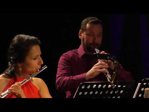 G. Rossini - The Barber Of Seville (Ouverture) for wind quintet