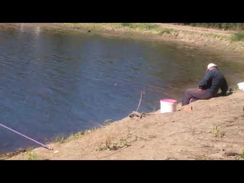 Рыбак спит рыба клюёт