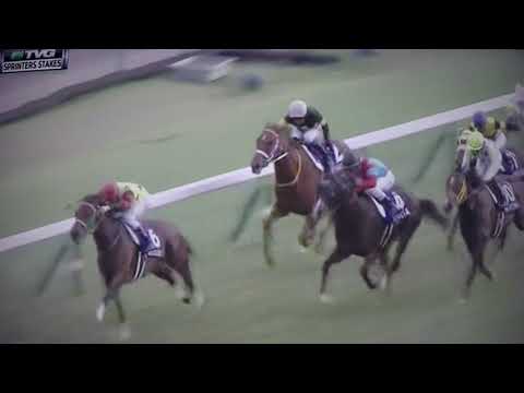 SPRINTERS STAKES (G1)2017 - RED FALX !!