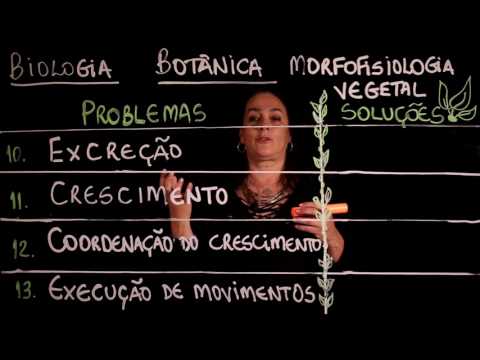 Aula 85 REINO PLANTAE Botânica   Morfofisiologia parte 1 - Aulas ENEM