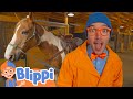 Blippi S Learns About Horse Back Riding Blippi Educational Videos Party Playtime