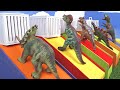 Learning Video with Dinosaurs| Colorful Learning Video for Kids and Toddlers