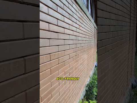 VLOG: my wild old piece of land, close to Mirante do Balanço Infinito: Piquete, São Paulo -Brazil🇬🇧🍃