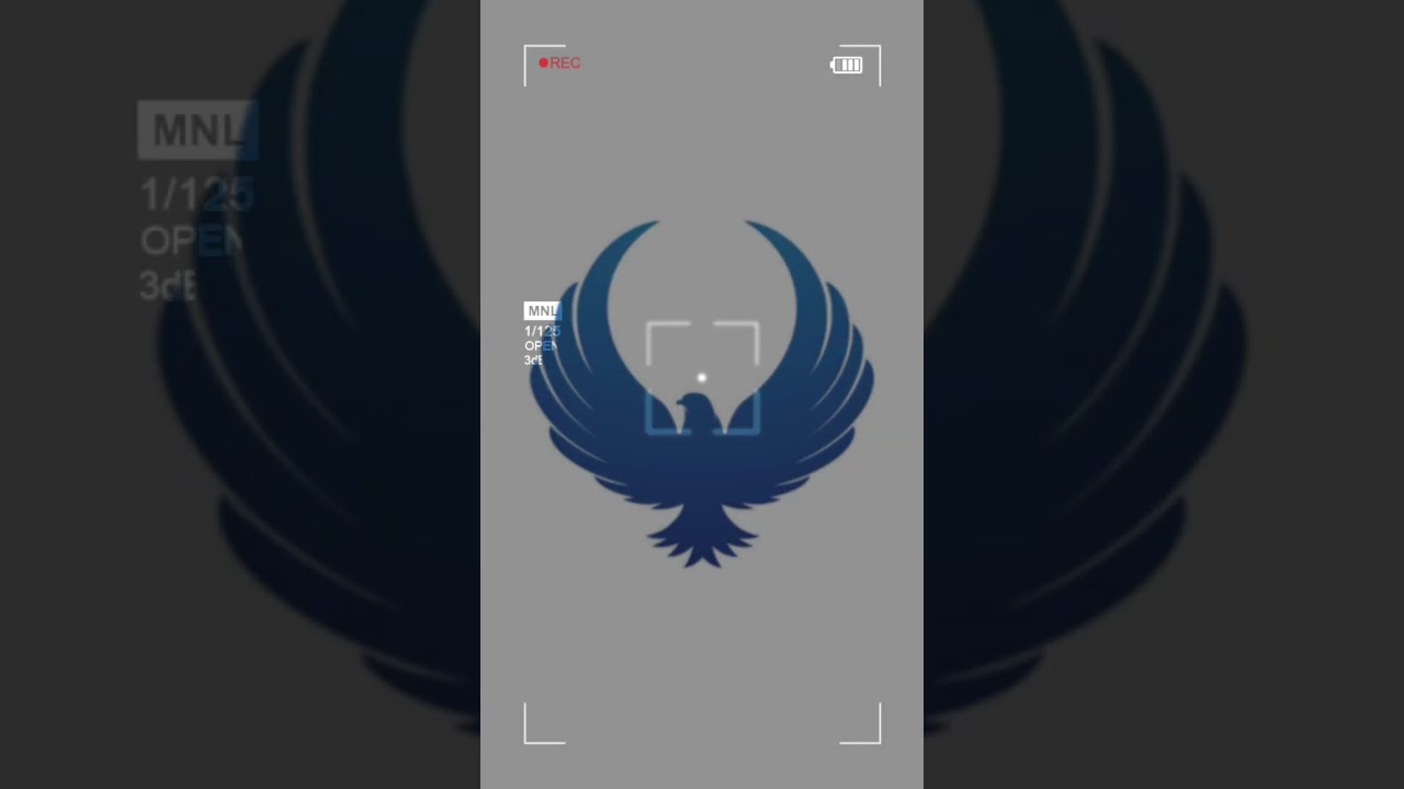 falcon Icon Logo Template Collection, #Falcon #wings #art #Eagle #fly #animal