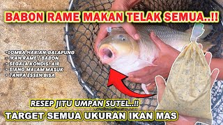 Download lagu SUTEL BAIT MIXTURE TARGET PARENTS RAME !! BAIT RECIPE FOR COMPETITION CARP & GALAPUNG ❗❗ mp3