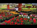 Tour por vivero TIERRA NEGRA sede Medellín, Poblado | Aventura Paisajística