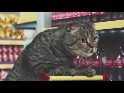 Paminkštintos petnešos ToughBuilt® video