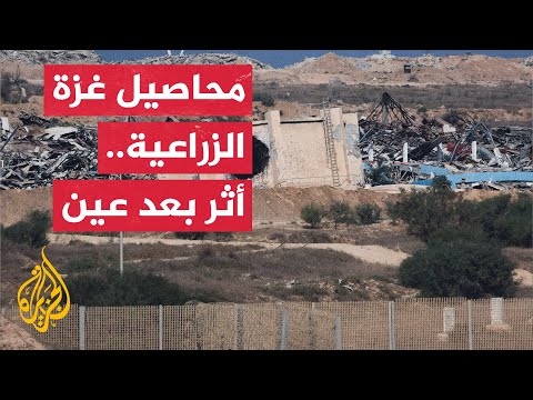فيديو | غزة التي كانت تطعم أبناءها.. أراضي زراعية وغطاء نباتي مدمر