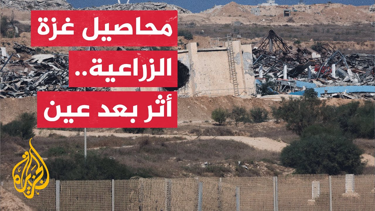 غزة التي كانت تطعم أبناءها.. أراضٍ زراعية وغطاء نباتي مدمر