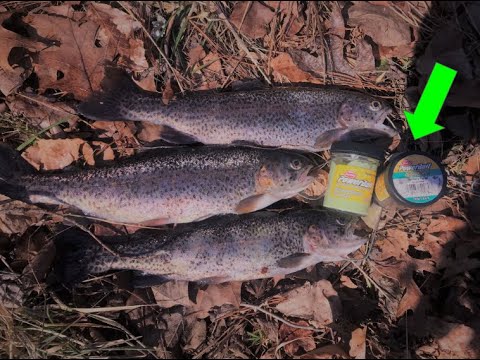 How to Catch Stocked TROUT Using POWERBAIT!