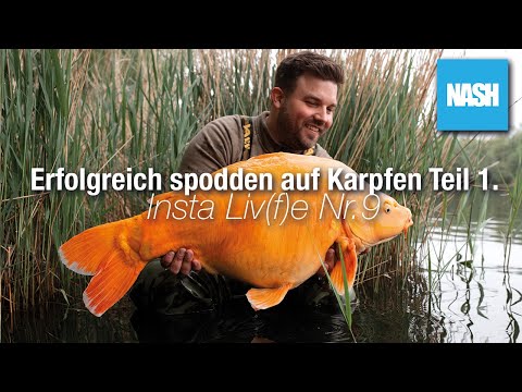 Karpfenangeln - Erfolgreich spodden auf Karpfen Teil 1 - InstaLiv(f)e Nr. 9