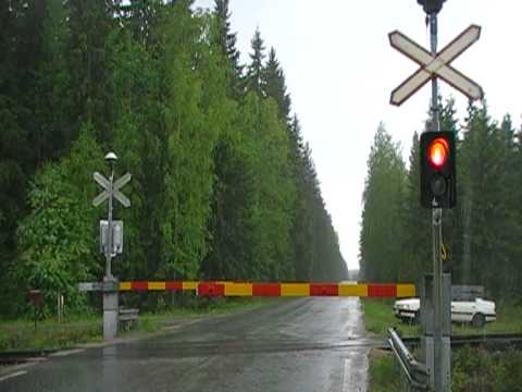 Finnish freight train T 3365 passed Vatia level crossing.
