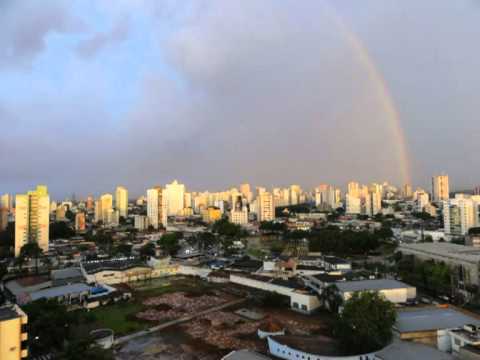 Carros e meio ambiente