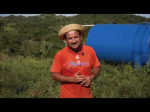 AND EN ACCIÓN - EP. 02: Herrera