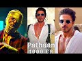 SRK EDIT PATHAAN PATHAAN BOX OFFICE COLLECTION 1000CR KING OF BOLLYWOOD SRK