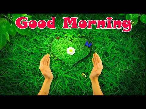Romantic Good Morning Images Video