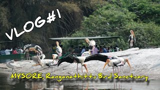 preview picture of video 'VLOG #1 MYSORE, Ranganathittu Bird Sanctuary, best place in mysore'