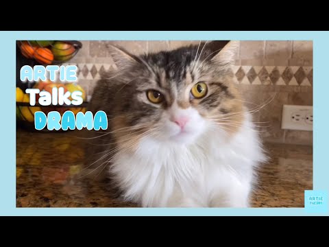 Artie talks about teasing his mom!