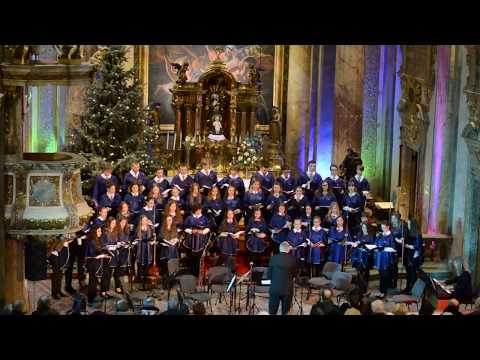 Piarissimo- How Hark The Bells