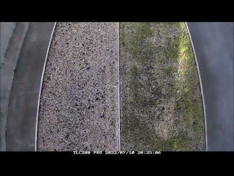 Timelapse grass germination with and without TerraCottem Turf