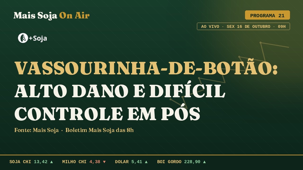 Soja avança nos EUA | Crédito privado chega a R$597BI  | MAIS SOJA ON AIR