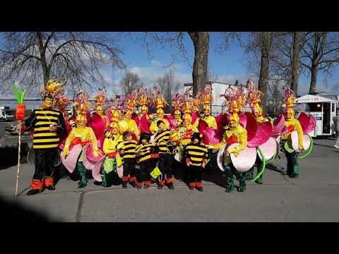 Oos reunië stoetlieken carnaval Ninove 2020 Grat Om Zjiep !