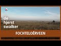 HJERSTSWALKER: Fochteloërveen