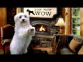 BOW WOW WOW COMMERCIAL MOVIE