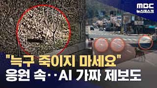 사흘째 감감 '늑구'‥'딥페이크'에 '코인'까지‥ (2026.04.10/뉴스데스크/MBC)